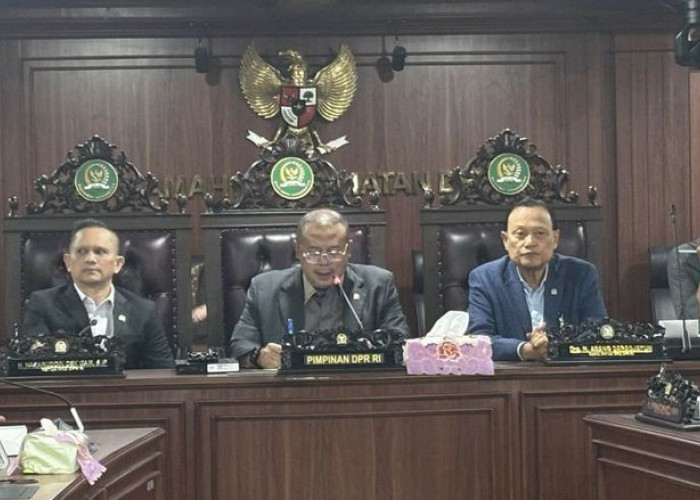 Hasan Basri Agus jadi pimpinan MKD gantikan Agung Widyantoro