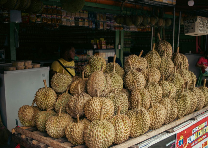 Tips Memilih Durian Matang dan Berkualitas
