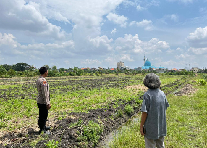 Dukung Swasembada Pangan, Bhabinkamtibmas Polsek Taman Dampingi Petani Jagung di Kelurahan Sepanjang
