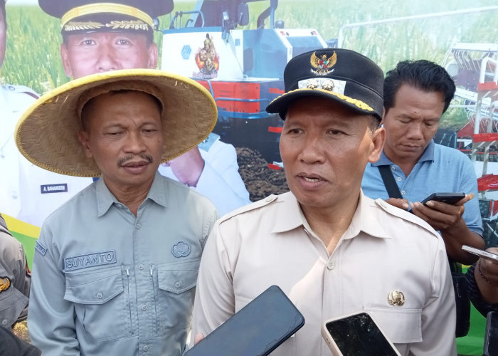 Panen Raya Melimpah, Plt Bupati Dorong Pertanian Tulungagung Naik Kelas