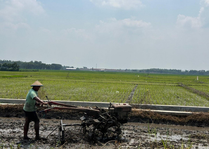 PUPR Jombang Siapkan Rp300 Juta untuk Penyusunan RTRW, Pengesahan Perda Diproyeksikan 2029