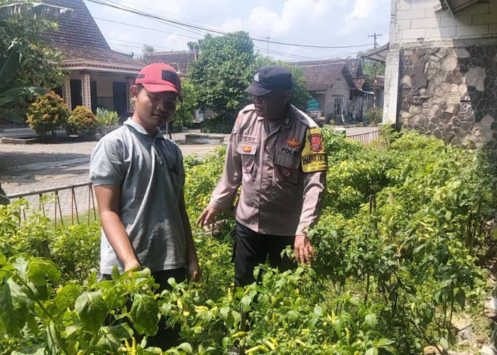 Bhabinkamtibmas Desa Keniten Dampingi Program P2B, Dukung Ketahanan Pangan Keluarga di Geneng