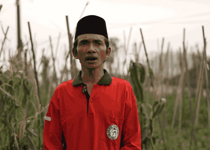 Program MBG Presiden Prabowo Sukses Dongkrak Pendapatan Petani Boyolali Hingga 60 Persen