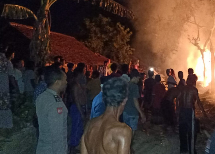 Tiga Kandang Sapi Warga Mantup Lamongan Ludes Terbakar