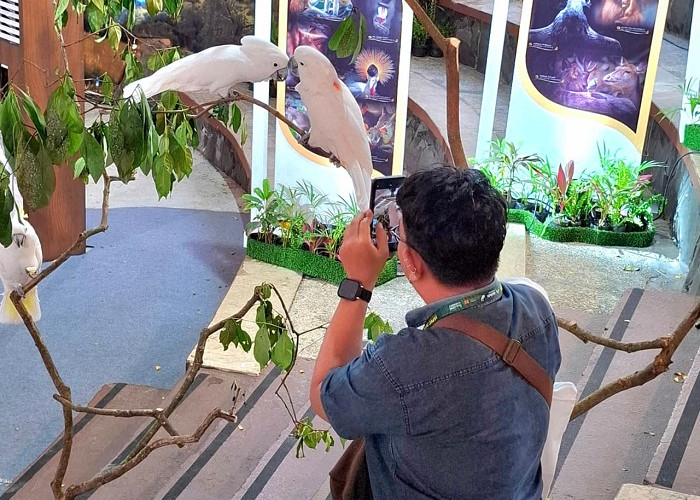 IAPVC Ke-35 di TSI Prigen Tekankan Pesan Konservasi Satwa