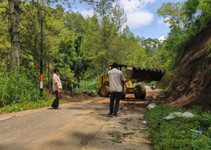 Hujan Deras Picu Longsor di Jalur Pujon Kidul-Sukomulyo, Separuh Jalan Tertutup Material