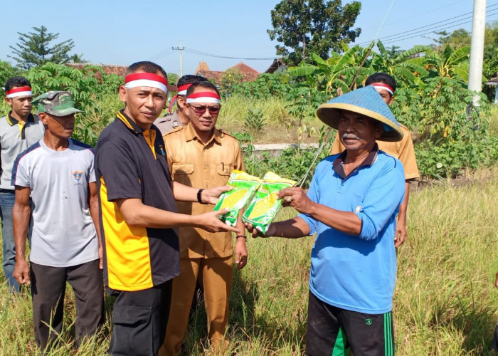 Polsek Benjeng Bagikan Bibit Jagung kepada Petani Desa Karangan Kidul
