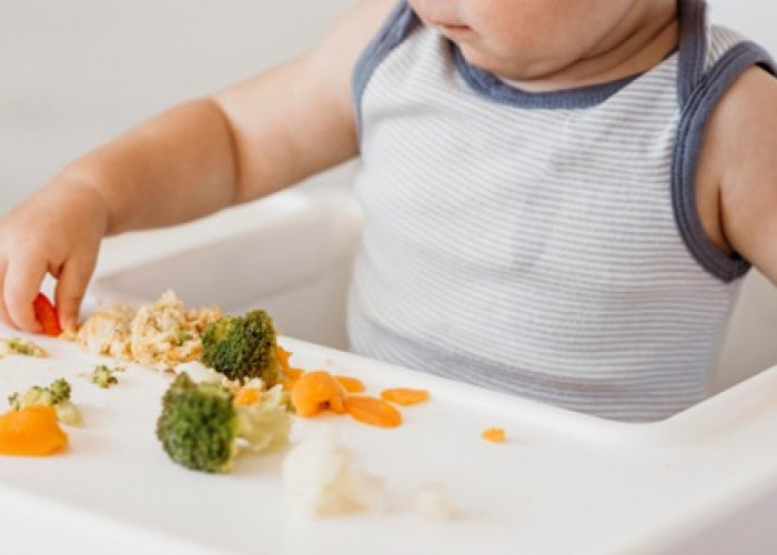 Apa Itu BLW? Metode MPASI yang Bikin Bayi Belajar Makan Sendiri Sejak Awal
