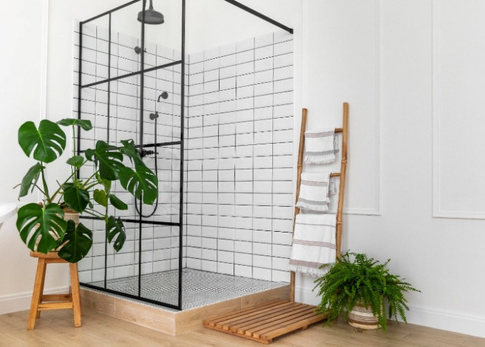 Rekomendasi Tanaman Hias untuk Mempercantik Kamar Mandi agar Lebih Segar dan Estetis