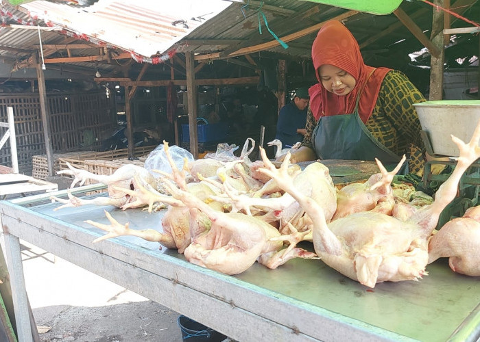 Pedagang Keluhkan Tidak Boleh Potong Ayam ke Pasar Keputran Selatan