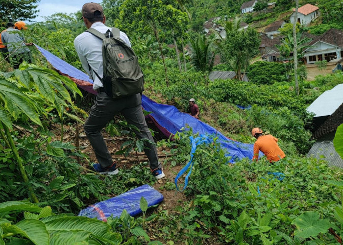 Infrastruktur Jember Lumpuh di 27 Titik Pascabencana, BPBD Tetapkan Kemuning Lor Status Prioritas Utama