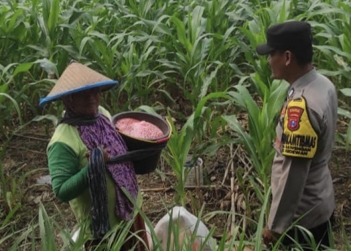 Bhabinkamtibmas Desa Kawengan Dukung Pemanfaatan Lahan Perhutani untuk Ketahanan Pangan