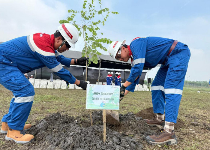 PEPC JTB Perkuat Komitmen Lingkungan melalui Aksi Penanaman Pohon Endemik di Area Plant