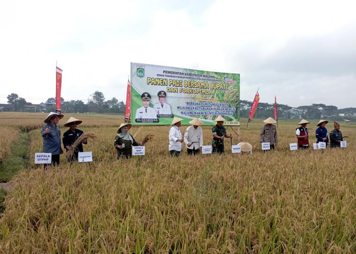 Pemkab Malang Siapkan 40 Ribu Hektare untuk Program Swasembada Pangan 