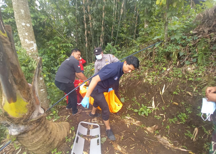 Geger Penemuan Mayat Perempuan di Kebun Warga Pakisaji, Diduga ODGJ