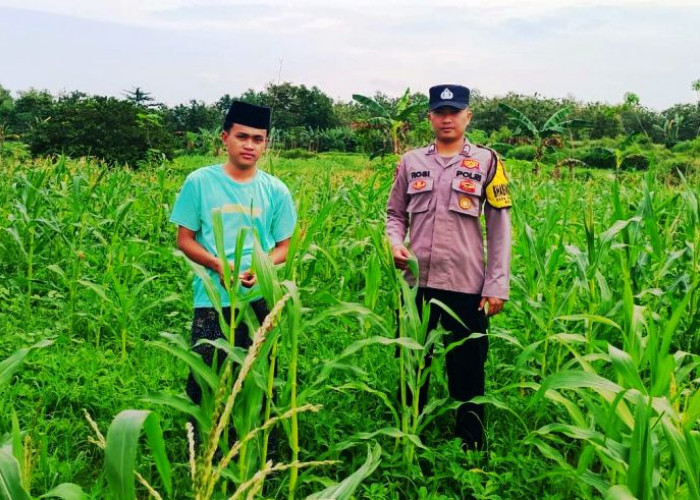 Sambangi Desa Rosep, Polsek Blega Dorong Petani Jagung Sukseskan Swasembada Pangan