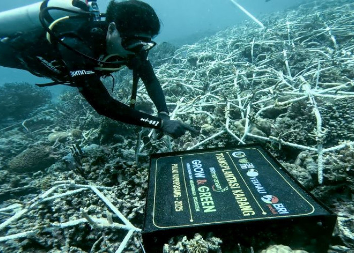 Peringati Hari Lingkungan Hidup Sedunia, BRI Pertegas Komitmen dalam Menjaga Ekosistem Lingkungan 