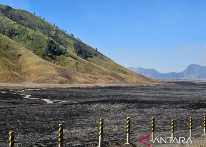 Menhut Serahkan Penyelidikan Karhutla Bromo kepada Aparat Penegak Hukum