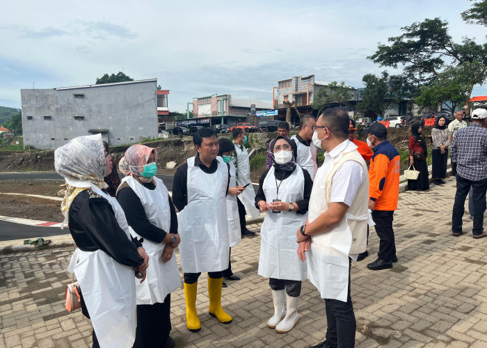 DPRD Jatim Minta Pemerintah Pusat Tingkatkan Status PMK