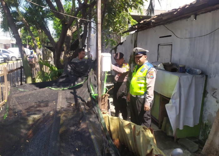 Perkuat Ketahanan Pangan, Polsek Semampir Dukung Budidaya Lele 