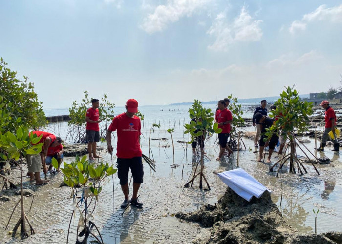 Sambut HUT Ke-72 Humas Polri,  Polres Lamongan Tanam 300 Mangrove di Bibir Pantai Paciran