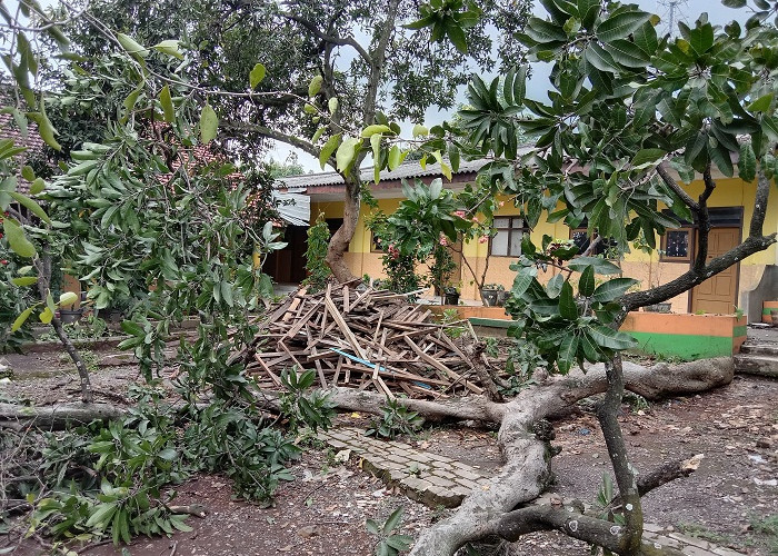 Ahli Waris Melawan, Tebang Pohon di SDN 1 Jeladri