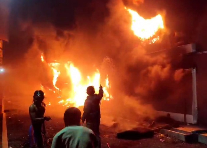 Kandang Ayam di Jember Ludes Terbakar, Kerugian Capai Rp4 Miliar