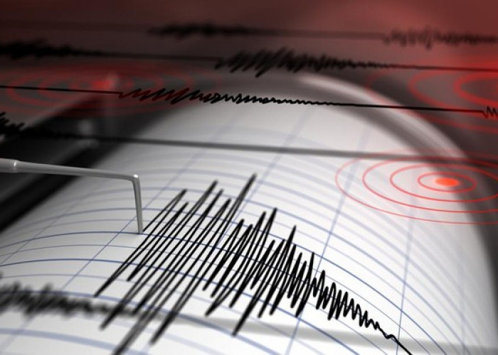 Gempa M 7,3 Guncang Bitung, Potensi Tsunami di Sulut dan Malut