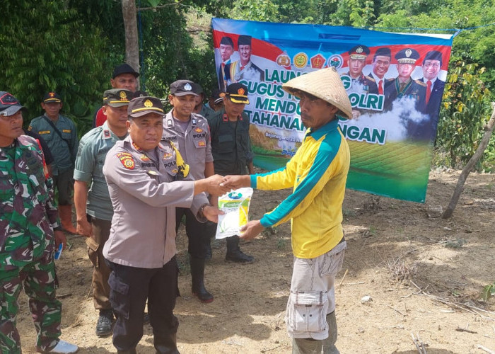 Kapolsek Bubulan Bersama Forkopimcam Lakukan Penanaman Jagung