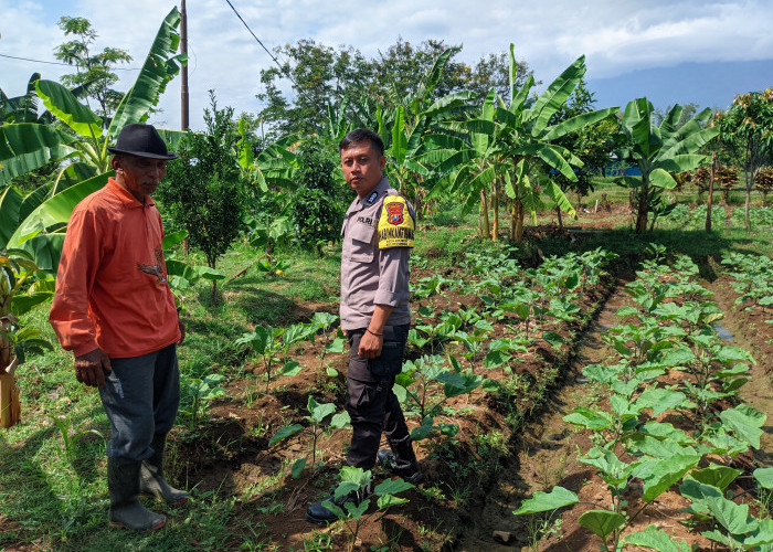 Dorong Ketahanan Pangan di Ngawi, Polsek Jogorogo Monitoring Pemanfaatan Pekarangan