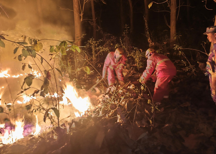 Kobaran Api Menerjang Gunung Watangan, 6,5 Hektare Lahan Hangus, Petugas Bertaruh Nyawa Tembus Tebing Terjal