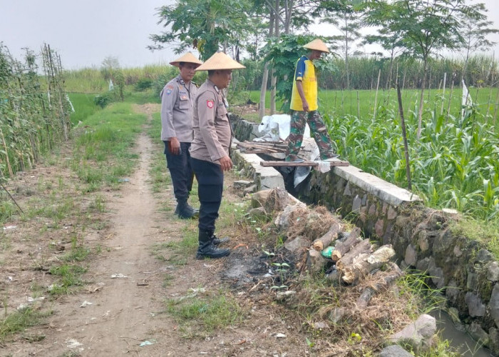 Dukung Ketahanan Pangan, Polsek Tulangan Monitoring Lahan Tumpang Sari di Desa Jiken