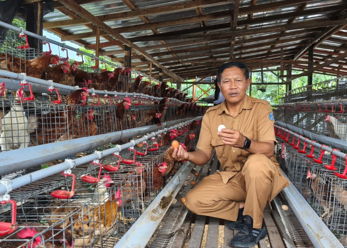 Inspiratif, K.G.A Edu Farm Kelurahan Gunung Anyar Fokus pada Ketahanan Pangan