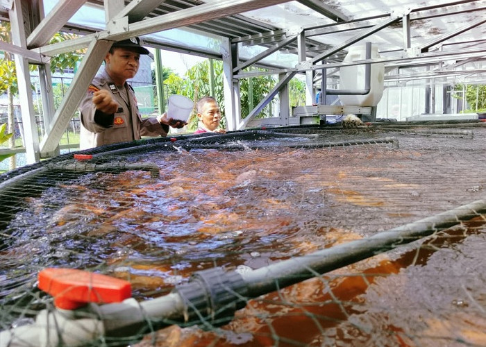 Dukung Ketahanan Pangan, Bhabinkamtibmas Jemur Wonosari Dampingi Budidaya 1.400 Ikan Nila Sistem RAS