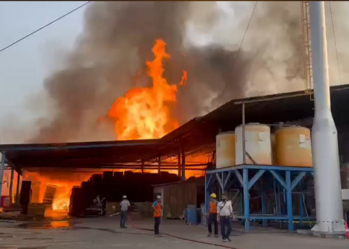 Kebakaran Hebat Lahap PT Nankai Indonesia di Gresik