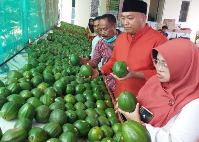  Mas Rio Apresiasi SGF, Lahan Bekas Banjir Bandang di Situbondo Disulap Menjadi Agropreneur