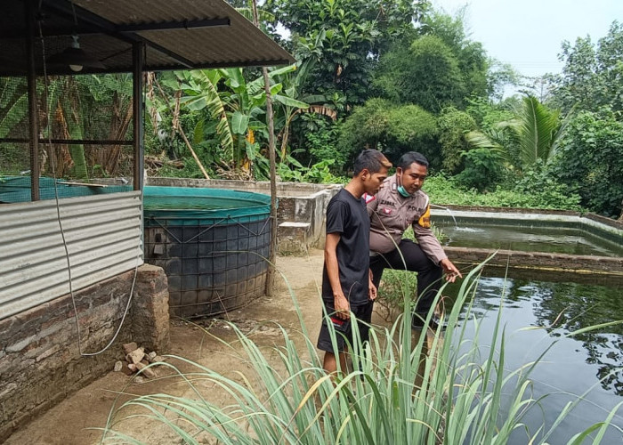 Kapolsek Tarik Apresiasi Budi Daya Lele Warga Desa Kramattemanggung