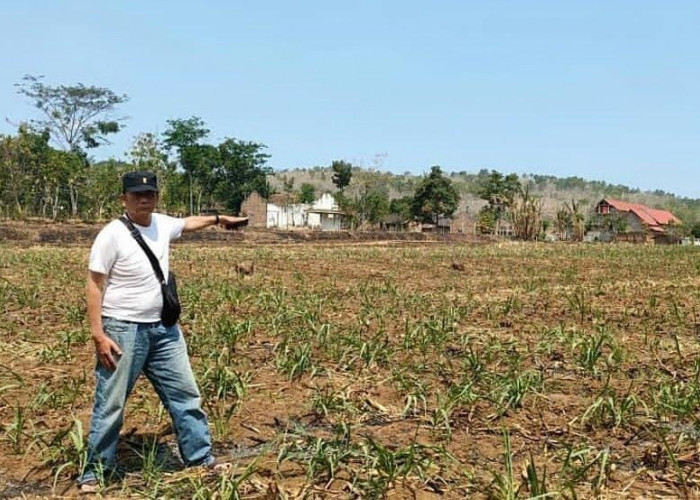 Korban Pemalsuan KTP Surati Kapolda Jatim, 6 Tahun Laporan Jalan di Tempat