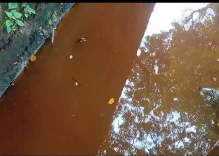 Diduga Cemari Sungai dan Tak Kantongi Amdal, PT Solusi Pangan Sejahtera Dikecam