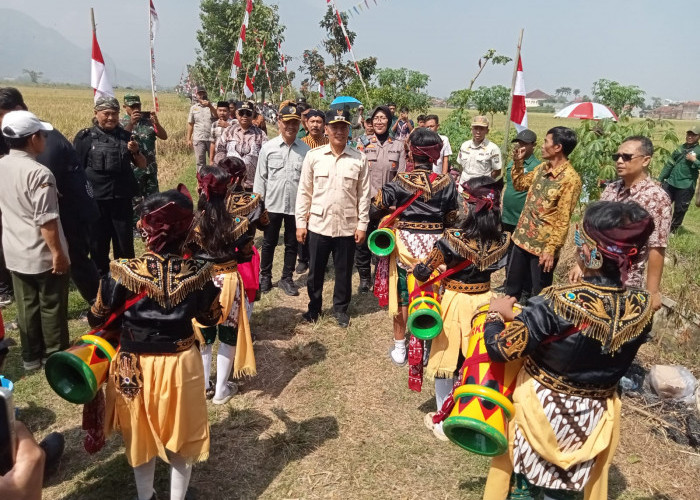 Panen Raya Desa Kepuh Melimpah, Baharudin Ajak Petani Maksimalkan Lahan dan Jaga Alam