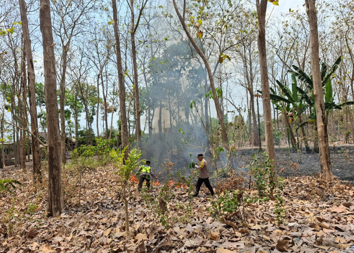 Daun Jati Kering Terbakar di Sutojayan Blitar, Anggota Polsek Lodoyo Timur Sigap Padamkan Api