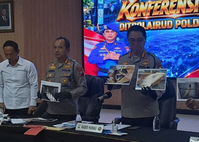 Tujuh Burung Dilindungi Diamankan dari Pelabuhan Probolinggo, Mualim Kapal Diperiksa