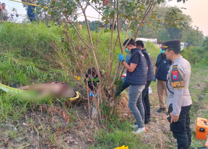 Misteri Wanita Tanpa Identitas di Jember, Ditemukan Tewas Mengenaskan dengan Wajah Hancur di Pinggir Rel KA