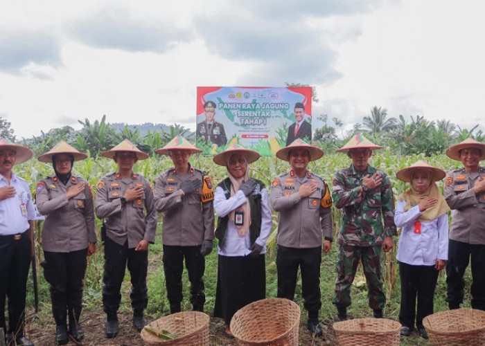 Dukung Swasembada Pangan 2025, Kapolres Lumajang Pimpin Panen Raya Jagung Serentak