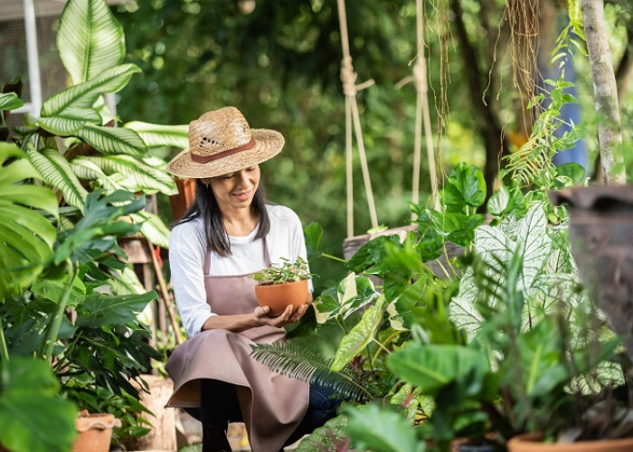 Tak Perlu Liburan Mahal, Gardening di Rumah Bisa Jadi Terapi Anti Stres
