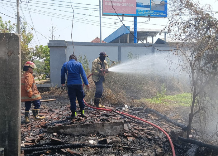 Bakar Alang-alang, Gubuk di Tepi Jalan Raya Benjeng Gresik Ludes Terbakar