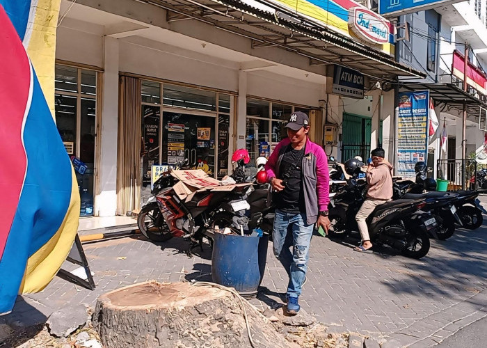 Pohon Milik Pemkot Surabaya di Depan Minimarket Jalan Raya Merr Dipotong Tanpa Izin