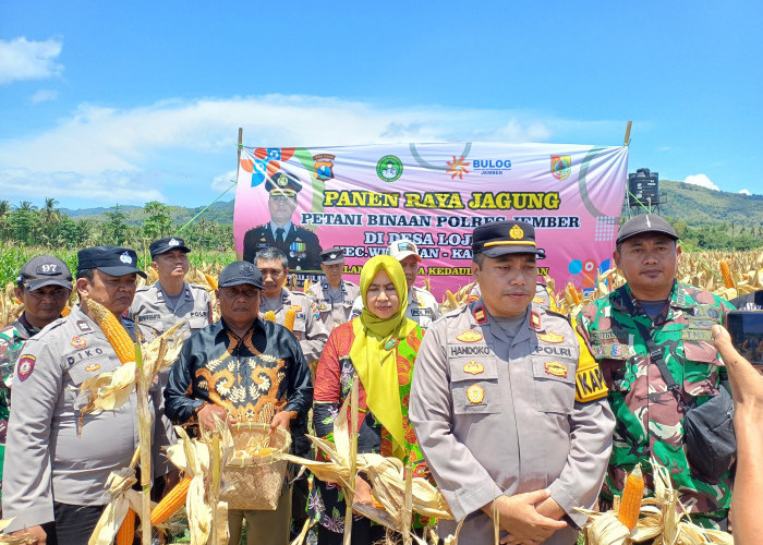 Wujud Nyata Kepedulian, Polsek Wuluhan Dampingi Petani Sukseskan Panen Raya di Tanah Kas Desa