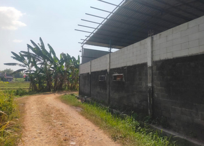 Belum Kantongi Izin, Satpol PP Jombang Bakal Cek CV Tumbuh Sinar Berkah