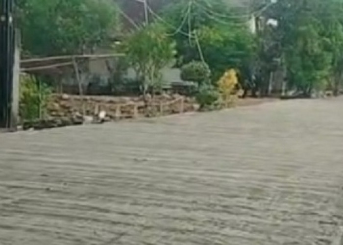 Aroma Korupsi PISEW Lamongan: Jalan Retak Dini, Ketebalan Besi Disunat?